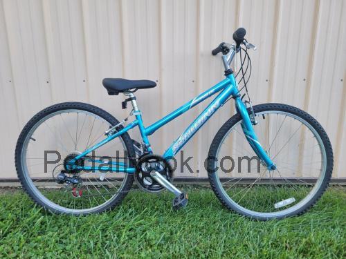 Schwinn Frontier fiche technique et avis